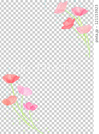 由紅色和粉紅色罌粟製成的植物框架。水彩插畫，充滿春天的清新氣息。 121153923