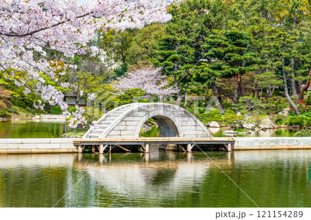 広島 春の縮景園　濯纓池と跨虹橋 121154289