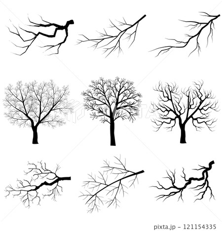 木　枯れ木　自然　アイコン 121154335