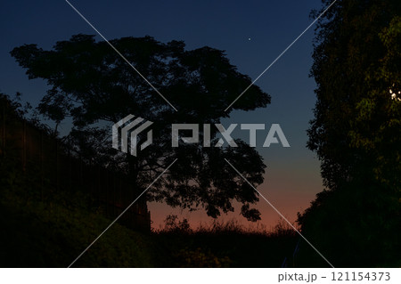 夕暮れに浮かぶシルエット 121154373