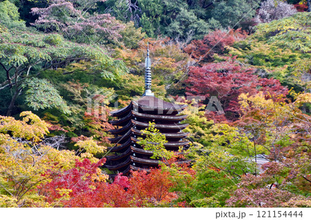 秋の談山神社・十三重塔（奈良県・桜井市） 121154444