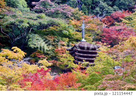秋の談山神社・十三重塔(奈良県・桜井市) 秋の談山神社・十三重塔(奈良県・桜井市) 121154447