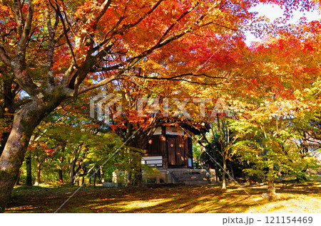 紅葉のある風景2 121154469