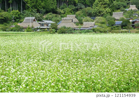 初秋の美山かやぶきの里 初秋の美山かやぶきの里 121154939