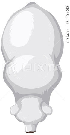 Top View of Polar Bear Illustration Top View of Polar Bear Illustration 121155000