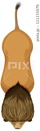 Top View of a Lion Illustration Top View of a Lion Illustration 121155076