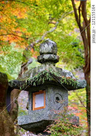 秋の談山神社・石灯籠（奈良県・桜井市） 121155164