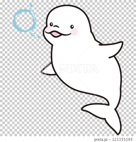 シロイルカ ベルーガ 海洋生物 水族館 シロイルカ ベルーガ 海洋生物 水族館 121155193