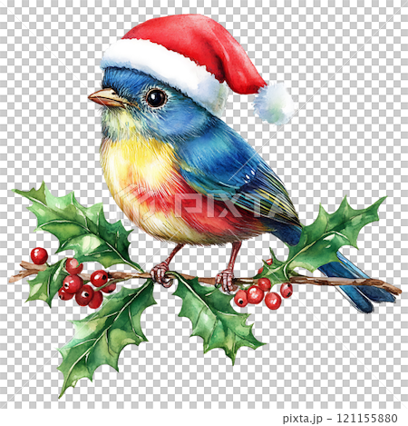 colorful bird wearing Santa hat on holly branch 121155880