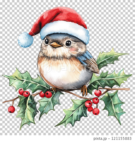 Cute bird in Santa hat on holly branch with berries 121155883