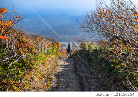 紅葉の頃の栗駒山登山 整備された登山道中央コース 紅葉の頃の栗駒山登山 整備された登山道中央コース 121156154