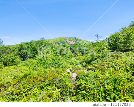 夏の四阿山・根子岳登山(中尾根コース:根子岳を望む) 夏の四阿山・根子岳登山(中尾根コース:根子岳を望む) 121157029