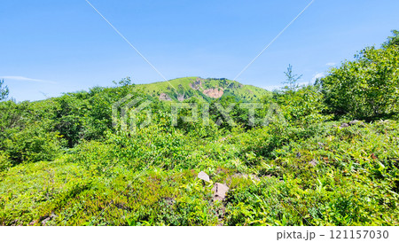 夏の四阿山・根子岳登山（中尾根コース：根子岳を望む） 121157030