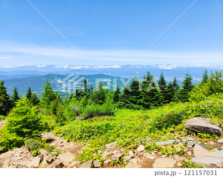 夏の四阿山・根子岳登山(中尾根コース:北アルプス方面の眺め) 夏の四阿山・根子岳登山(中尾根コース:北アルプス方面の眺め) 121157031