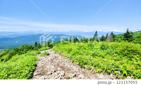 夏の四阿山・根子岳登山(中尾根コース:北アルプス方面の眺め) 夏の四阿山・根子岳登山(中尾根コース:北アルプス方面の眺め) 121157055