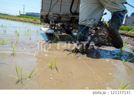 rice-planting 121157131