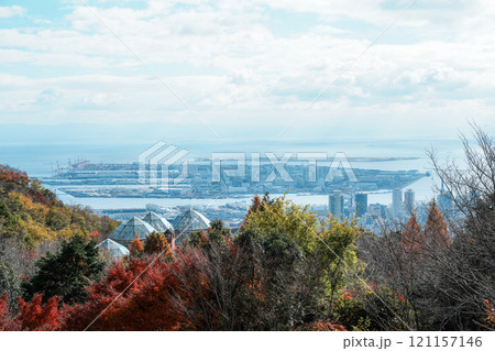 神戸布引ハーブ園の紅葉風景（2024年12月撮影） 121157146
