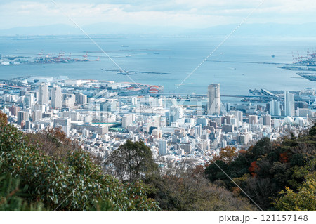 神戸布引ハーブ園の紅葉風景（2024年12月撮影） 121157148