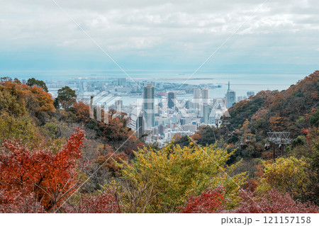 神戸布引ハーブ園の紅葉風景(2024年12月撮影) 神戸布引ハーブ園の紅葉風景(2024年12月撮影) 121157158