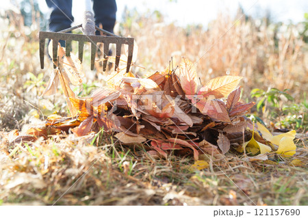 熊手で落ち葉を集める 121157690