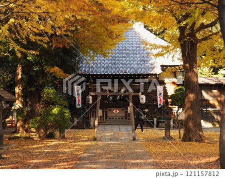 黄葉に覆われた平塚神社 黄葉に覆われた平塚神社 121157812