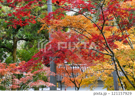 紅葉真っ盛りの京都・南禅寺(2024年12月撮影) 紅葉真っ盛りの京都・南禅寺(2024年12月撮影) 121157929