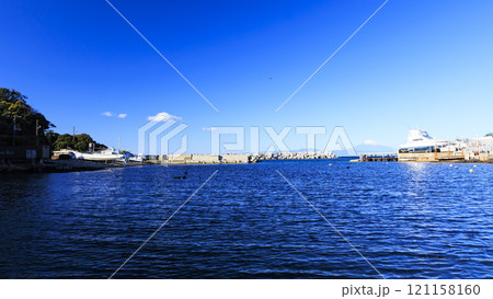 荒崎公園の冬 荒崎公園の冬 121158160