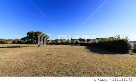 荒崎公園の冬 荒崎公園の冬 121158172