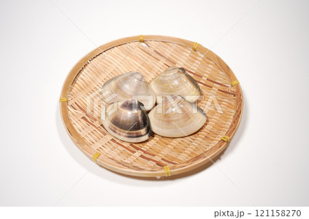 ハマグリ 121158270