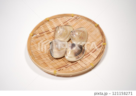 ハマグリ 121158271