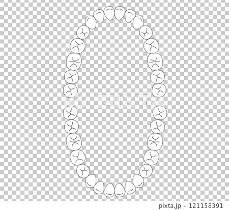 Black and white Permanent teeth dentition 121158391