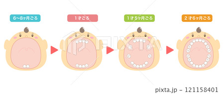 乳歯が生える時期の解説と大きな口を開けた赤ちゃんのイラスト 121158401