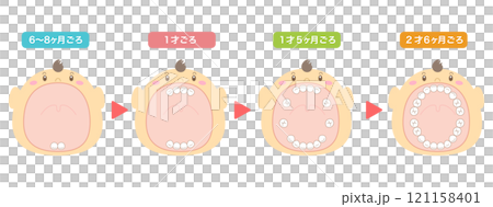 乳歯が生える時期の解説と大きな口を開けた赤ちゃんのイラスト 121158401