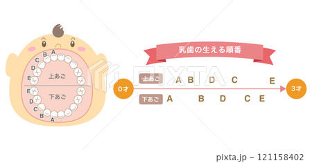 乳歯が生える時期の解説と大きな口を開けた赤ちゃんのイラスト 121158402