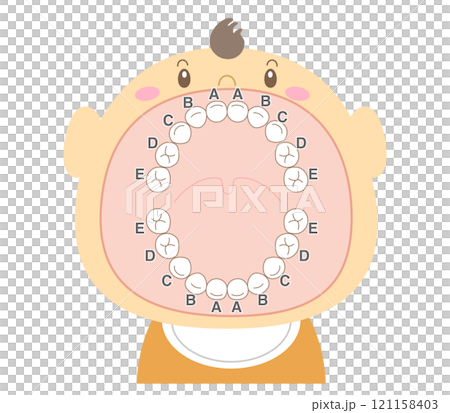 張大嘴的乳牙插圖 張大嘴的乳牙插圖 121158403