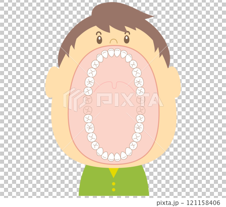 Illustration of adult teeth with a wide open mouth Illustration of adult teeth with a wide open mouth 121158406