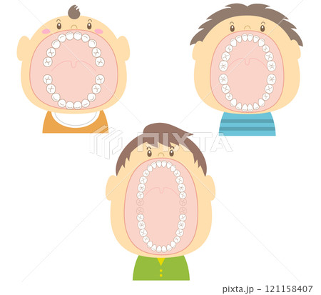 大きな口を開けた赤ちゃん、子供、大人の年齢別の歯のイラスト 大きな口を開けた赤ちゃん、子供、大人の年齢別の歯のイラスト 121158407
