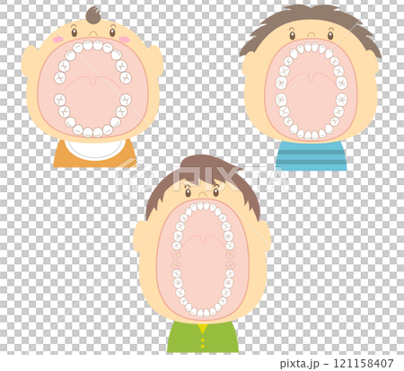 大きな口を開けた赤ちゃん、子供、大人の年齢別の歯のイラスト 大きな口を開けた赤ちゃん、子供、大人の年齢別の歯のイラスト 121158407