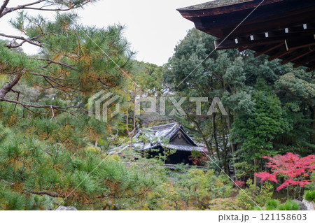 徳川家康の遺髪を祀る東照宮が境内にある京都・南禅寺の金地院 徳川家康の遺髪を祀る東照宮が境内にある京都・南禅寺の金地院 121158603
