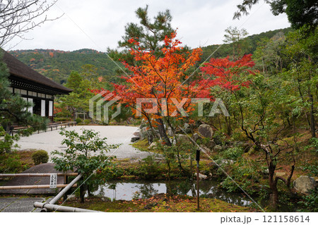 徳川家康の遺髪を祀る東照宮が境内にある京都・南禅寺の金地院 徳川家康の遺髪を祀る東照宮が境内にある京都・南禅寺の金地院 121158614