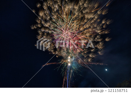 甲賀流にんにん大花火 2023 121158751