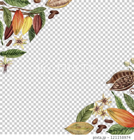 A frame with cocoa beans, branches, leaves, grains, flowers. The illustration of a tropical plant is hand-painted in watercolor in a botanical style. For the design of cards, menus, cafes, printing 121158974