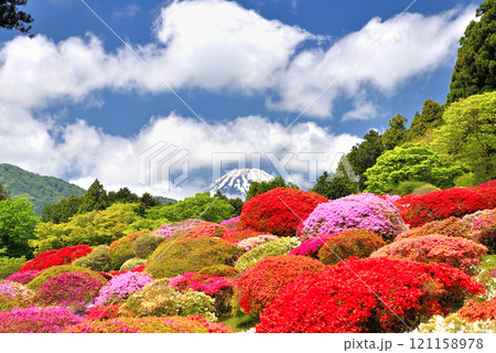 関東・芦ノ湖・箱根・旧男爵別邸、美しいつつじ庭園から眺める富士山・神奈川県箱根町(1) 関東・芦ノ湖・箱根・旧男爵別邸、美しいつつじ庭園から眺める富士山・神奈川県箱根町(1) 121158978