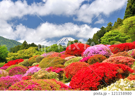 関東・芦ノ湖・箱根・旧男爵別邸、美しいつつじ庭園から眺める富士山・神奈川県箱根町(2) 121158980