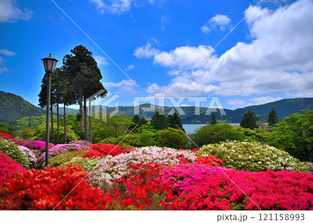 関東・芦ノ湖・箱根・旧男爵別邸、芦ノ湖とつつじ庭園の美しい風景・神奈川県箱根町(2) 121158993