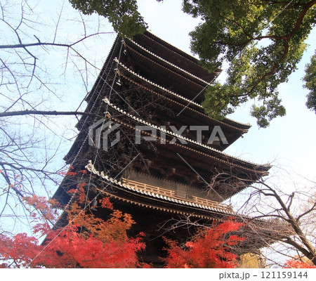 東寺 五重塔 東寺 五重塔 121159144