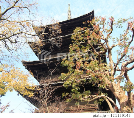 東寺 五重塔 東寺 五重塔 121159145