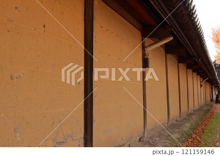 東寺　長い土壁 121159146