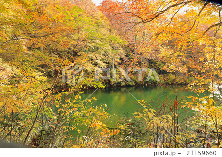 鎌池と周辺の秋の美しい風景 121159660