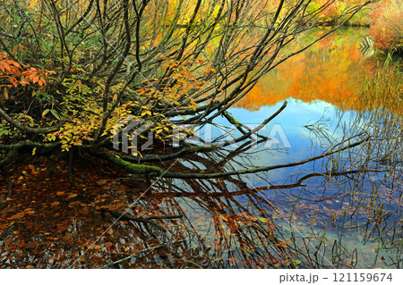 鎌池と周辺の秋の美しい風景 121159674